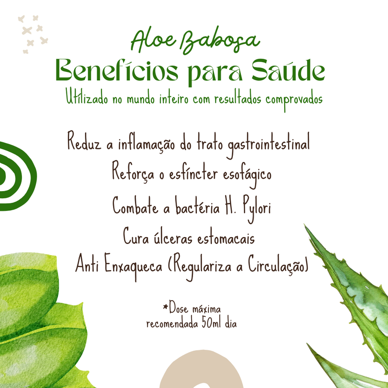Babosa Aloe Vera Ôrganica Mundo Aloe 30 Cápsulas